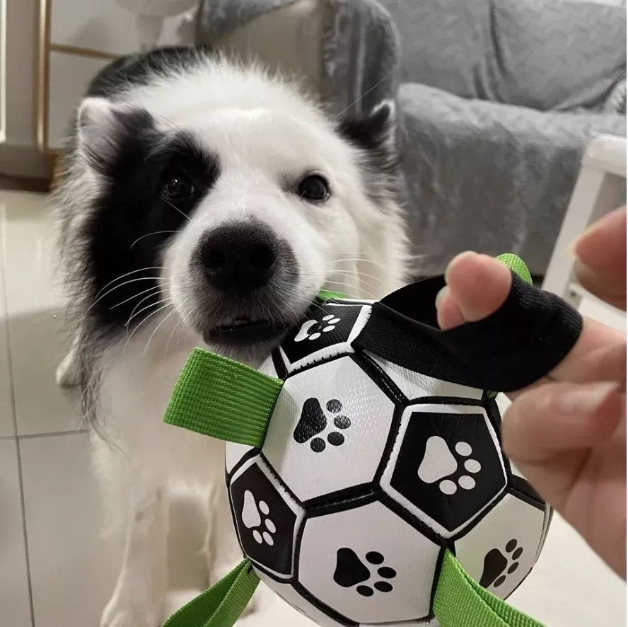 Pelota Para Perro Con Agarre