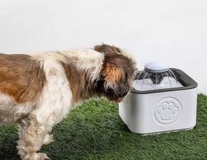 Fuente De Agua Para Gatos Y Perros De 2.5 Litros De 3 Modos