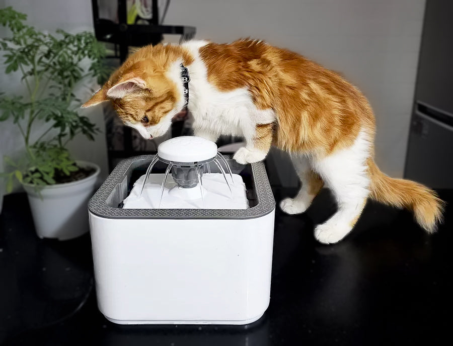 Fuente De Agua Para Gatos Y Perros De 2.5 Litros De 3 Modos